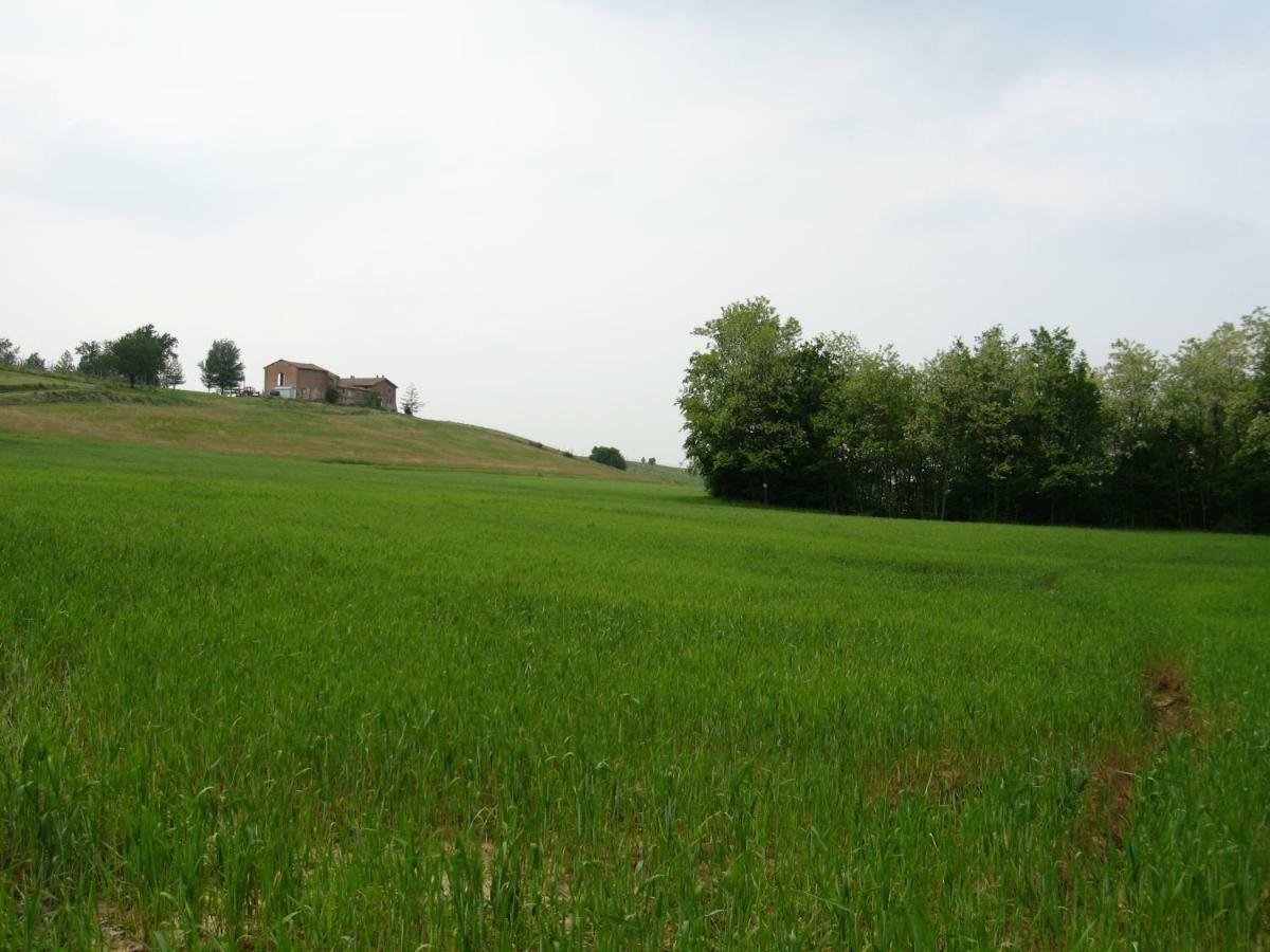 فيلا Agriturismo Ca' Preda San Giorgio Piacentino المظهر الخارجي الصورة
