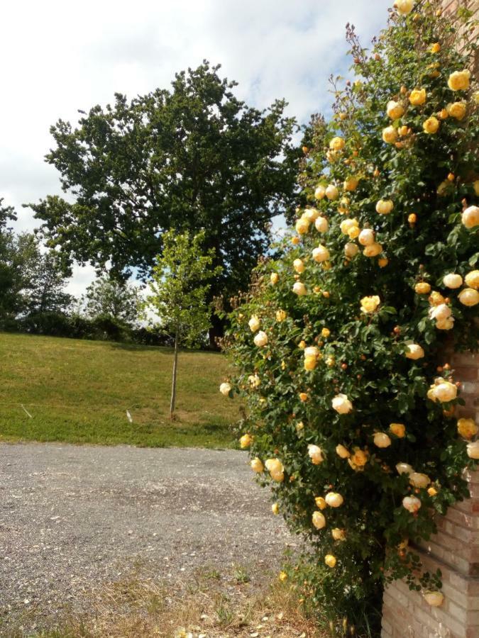 فيلا Agriturismo Ca' Preda San Giorgio Piacentino المظهر الخارجي الصورة