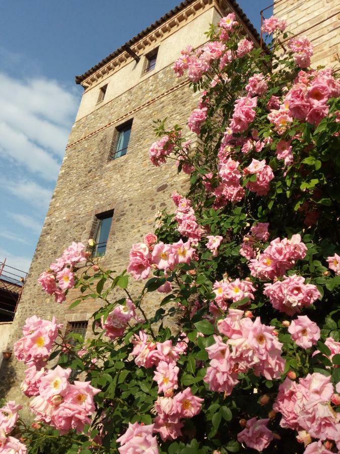 فيلا Agriturismo Ca' Preda San Giorgio Piacentino المظهر الخارجي الصورة